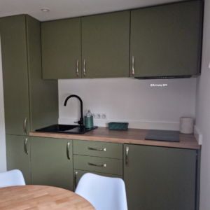 Image d'une cuisine verte olive équipée et aménagée.