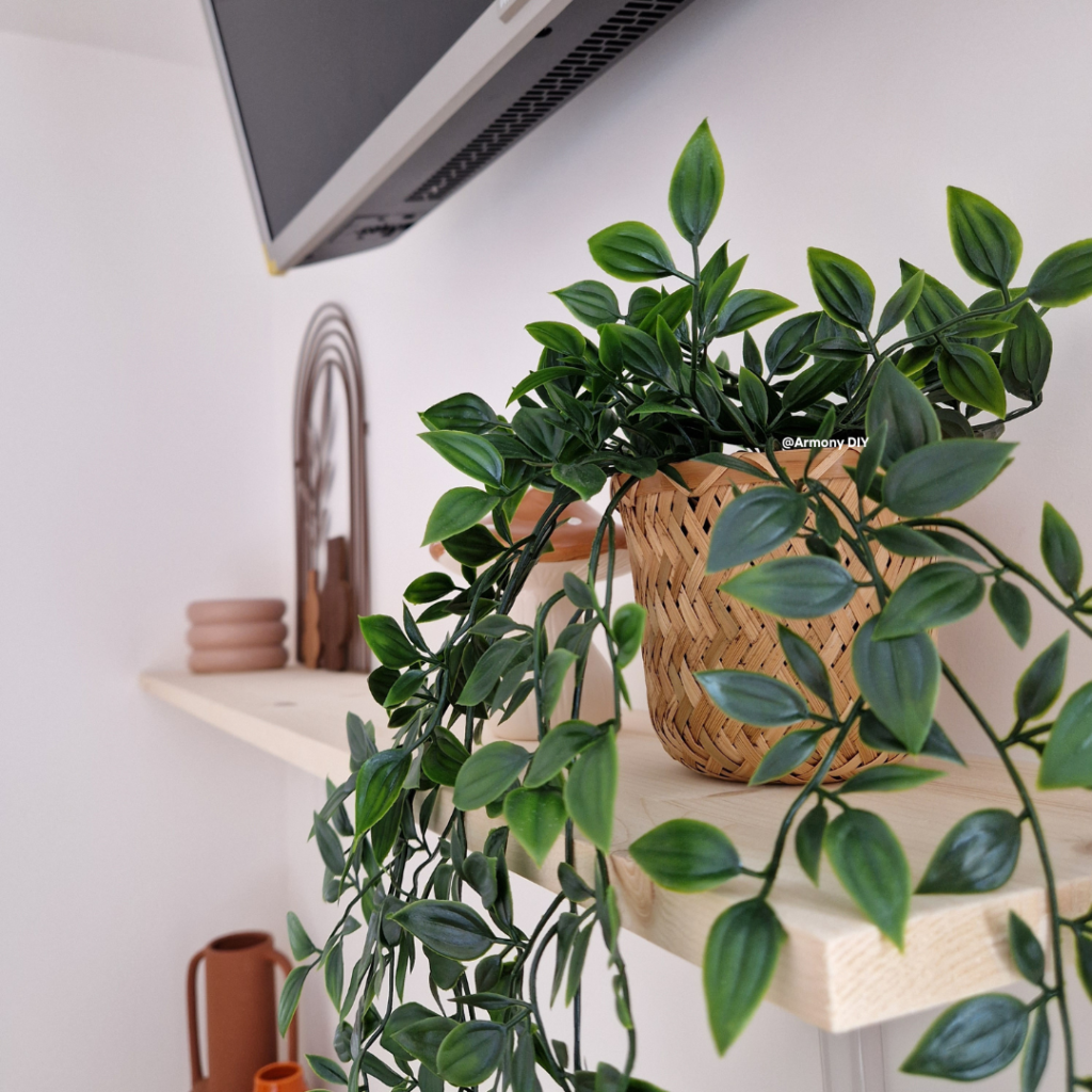 Projet DIY Terracotta. Image d'une étagère de décoration notamment avec une fausse plante.